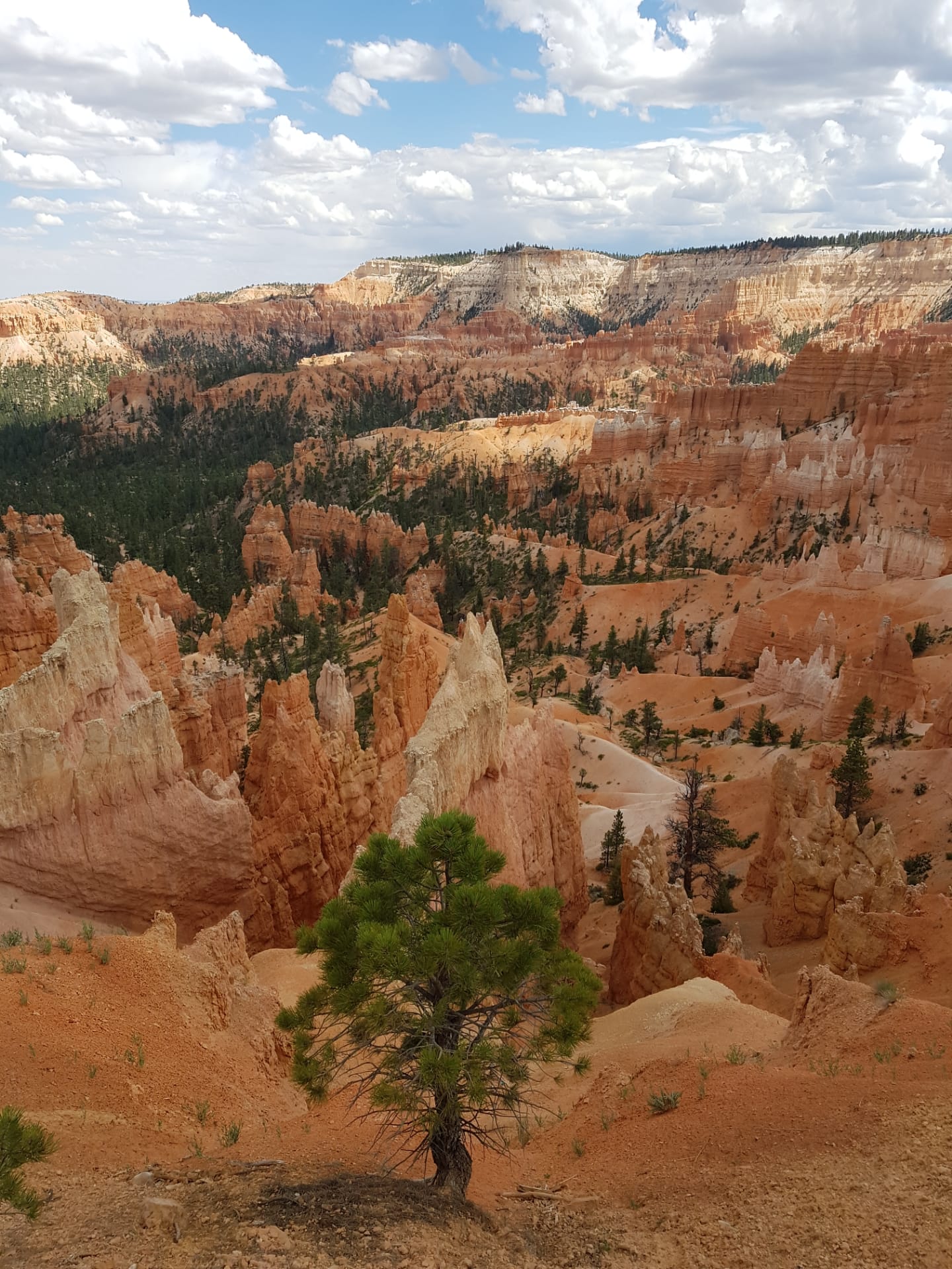 Bryce Canyon